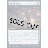 [EX+](FOIL)(フルアート)生態学的な理解/Ecological Appreciation《日本語》【STX】