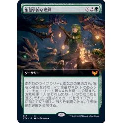 画像1: (フルアート)生態学的な理解/Ecological Appreciation《日本語》【STX】