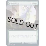 (FOIL)(フルアート)指数関数的成長/Exponential Growth《日本語》【STX】