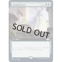(FOIL)(フルアート)指数関数的成長/Exponential Growth《日本語》【STX】