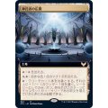 (FOIL)(フルアート)神託者の広間/Hall of Oracles《日本語》【STX】