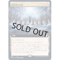 (フルアート)神託者の広間/Hall of Oracles《日本語》【STX】