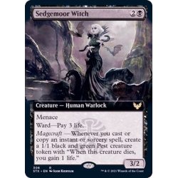 画像1: (FOIL)(フルアート)セッジムーアの魔女/Sedgemoor Witch《英語》【STX】