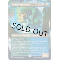 [EX+](FOIL)(フルアート)ターナジール・クアンドリクス/Tanazir Quandrix《英語》【STX】