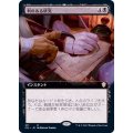 (フルアート)刺のある研究/Stinging Study《日本語》【Commander 2021】