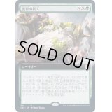 (フルアート)害獣の侵入/Pest Infestation《日本語》【Commander 2021】