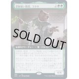 (フルアート)忍耐強い教授、ラクサ/Ruxa, Patient Professor《日本語》【Commander 2021】