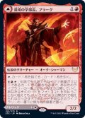 (FOIL)混沌の学部長、プラーグ/Plargg, Dean of Chaos《日本語》【STX】