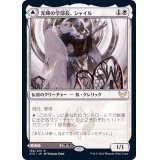 光輝の学部長、シャイル/Shaile, Dean of Radiance《日本語》【STX】