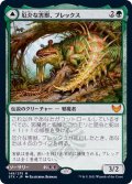 (FOIL)厄介な害獣、ブレックス/Blex, Vexing Pest《日本語》【STX】