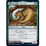 (FOIL)厄介な害獣、ブレックス/Blex, Vexing Pest《日本語》【STX】