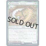 [EX+](FOIL)厄介な害獣、ブレックス/Blex, Vexing Pest《日本語》【STX】