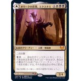 [EX+]オリークの首領、エクスタス/Extus, Oriq Overlord《日本語》【STX】
