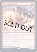 (FOIL)炎巻物の祝賀者/Flamescroll Celebrant《日本語》【STX】