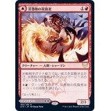 (FOIL)炎巻物の祝賀者/Flamescroll Celebrant《日本語》【STX】