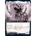 (FOIL)(フルアート)光輝の学部長、シャイル/Shaile, Dean of Radiance《日本語》【STX】