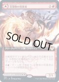 (FOIL)(フルアート)炎巻物の祝賀者/Flamescroll Celebrant《日本語》【STX】