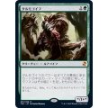 (FOIL)タルモゴイフ/Tarmogoyf《日本語》【TSR】