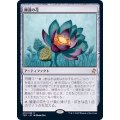 睡蓮の花/Lotus Bloom《日本語》【TSR】