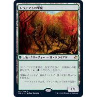 [EX+]ドライアドの東屋/Dryad Arbor《日本語》【TSR】