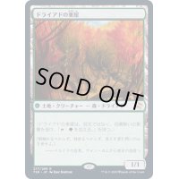(FOIL)ドライアドの東屋/Dryad Arbor《日本語》【TSR】