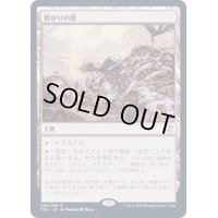 (FOIL)群がりの庭/Swarmyard《日本語》【TSR】