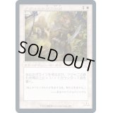 (FOIL)(旧枠仕様)アジャニの群れ仲間/Ajani's Pridemate《日本語》【TSR】