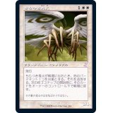 (旧枠仕様)ちらつき鬼火/Flickerwisp《日本語》【TSR】