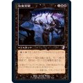 [EX+](旧枠仕様)四肢切断/Dismember《日本語》【TSR】