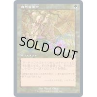 [EX+](FOIL)(旧枠仕様)自然の要求/Nature's Claim《日本語》【TSR】