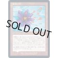 (FOIL)睡蓮の花/Lotus Bloom《日本語》【Buy-A-Box Promos(TSR)】