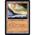 [EX+](FOIL)(旧枠仕様)荒廃した森林/Blighted Woodland《日本語》【TSR】