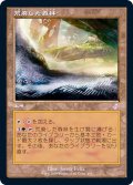 [EX+](FOIL)(旧枠仕様)荒廃した森林/Blighted Woodland《日本語》【TSR】