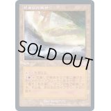 (FOIL)(旧枠仕様)荒廃した森林/Blighted Woodland《日本語》【TSR】