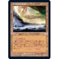 [EX+](FOIL)(旧枠仕様)荒廃した森林/Blighted Woodland《日本語》【TSR】