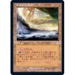 画像1: [EX+](FOIL)(旧枠仕様)荒廃した森林/Blighted Woodland《日本語》【TSR】