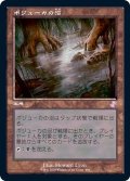 (旧枠仕様)ボジューカの沼/Bojuka Bog《日本語》【TSR】