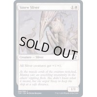 (FOIL)筋力スリヴァー/Sinew Sliver《英語》【TSR】