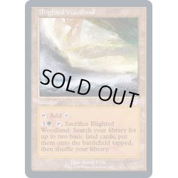 画像1: (FOIL)(旧枠仕様)荒廃した森林/Blighted Woodland《英語》【TSR】