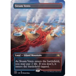 画像1: [EX+](FOIL)(フルアート)蒸気孔/Steam Vents《英語》【UNF】