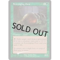 [EX+](FOIL)(旧枠仕様)漁る軟泥/Scavenging Ooze《英語》【WPN & Gateway Promos】