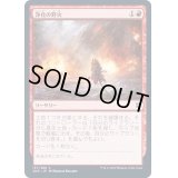 (FOIL)浄化の野火/Cleansing Wildfire《日本語》【ZNR】