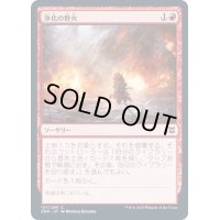 (FOIL)浄化の野火/Cleansing Wildfire《日本語》【ZNR】