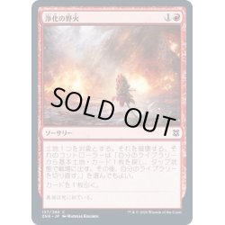 画像1: (FOIL)浄化の野火/Cleansing Wildfire《日本語》【ZNR】