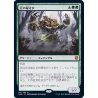 (FOIL)(プロモスタンプ)古の緑守り/Ancient Greenwarden《日本語》【ZNR】