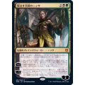 (FOIL)影さす太枝のニッサ/Nissa of Shadowed Boughs《日本語》【ZNR】