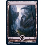 (FOIL)(フルアート)(273)沼/Swamp《日本語》【ZNR】