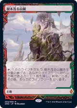 (FOIL)(フルアート)樹木茂る山麓/Wooded Foothills《日本語》【ZNE】