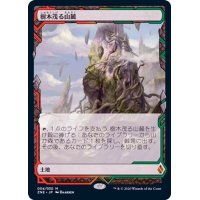 (FOIL)(フルアート)樹木茂る山麓/Wooded Foothills《日本語》【ZNE】