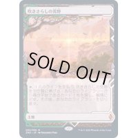 [PLD](FOIL)(フルアート)吹きさらしの荒野/Windswept Heath《日本語》【ZNE】